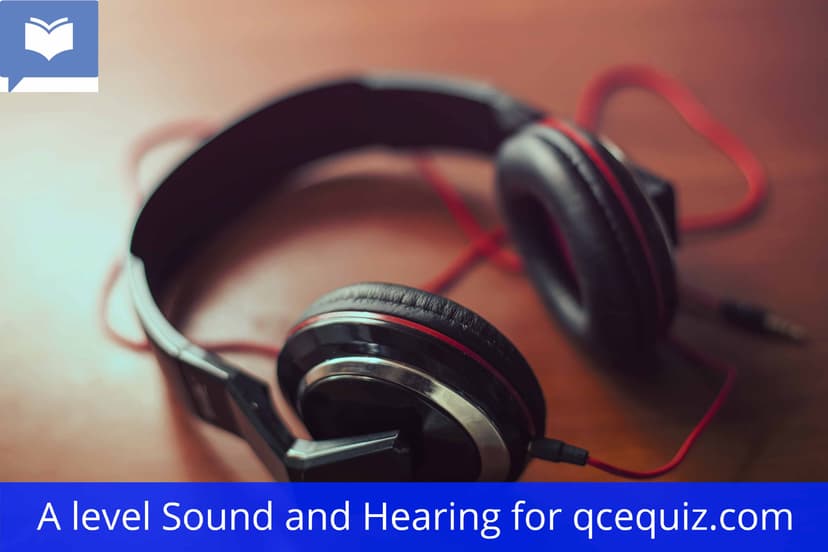 A level Sound and Hearing Quizzes