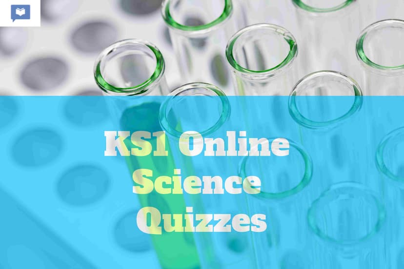 KS1 Science Quizzes